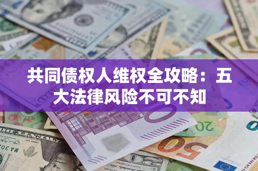 武汉共同债权人维权全攻略：五大法律风险不可不知