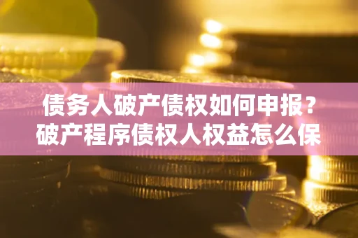 武汉债务人破产债权如何申报？破产程序债权人权益怎么保障？