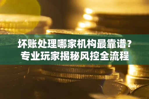 武汉坏账处理哪家机构最靠谱？专业玩家揭秘风控全流程