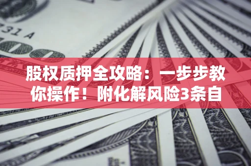武汉股权质押全攻略：一步步教你操作！附化解风险3条自救法则