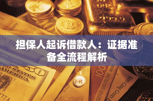 武汉担保人起诉借款人：证据准备全流程解析