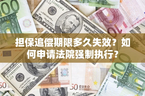 武汉担保追偿期限多久失效？如何申请法院强制执行？