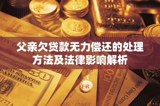 武汉父亲欠贷款无力偿还的处理方法及法律影响解析