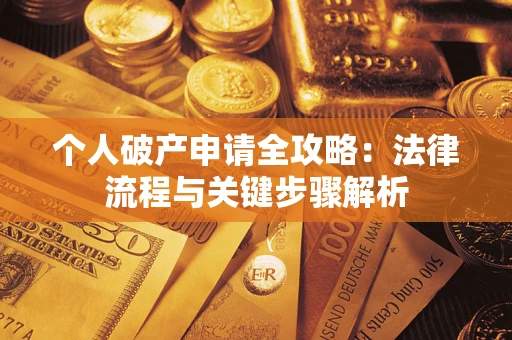 武汉个人破产申请全攻略：法律流程与关键步骤解析