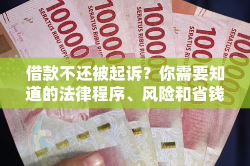 武汉借款不还被起诉？你需要知道的法律程序、风险和省钱技巧